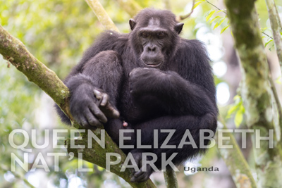 Queen Elizabeth Natl Park, Uganda