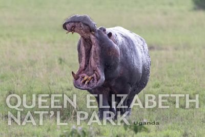 Queen Elizabeth Natl Park, Uganda