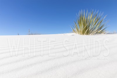 White Sands, New Mexico